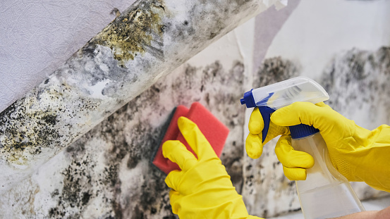 4 Pro Tips for Dealing with Mold on Drywall